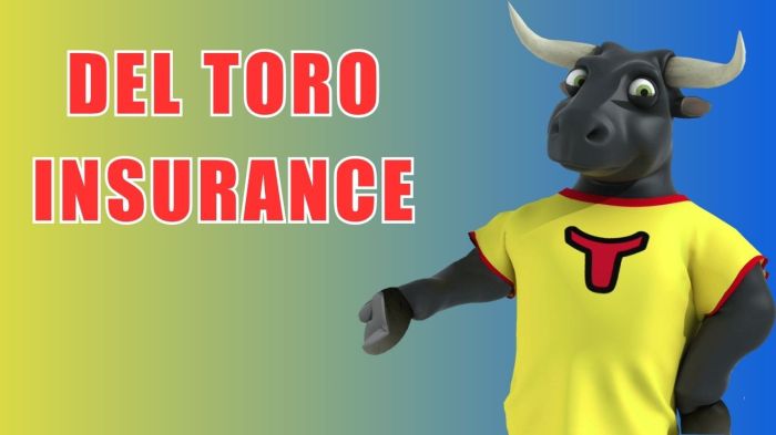 Del Toro Insurance Near Me – Your Local Guide